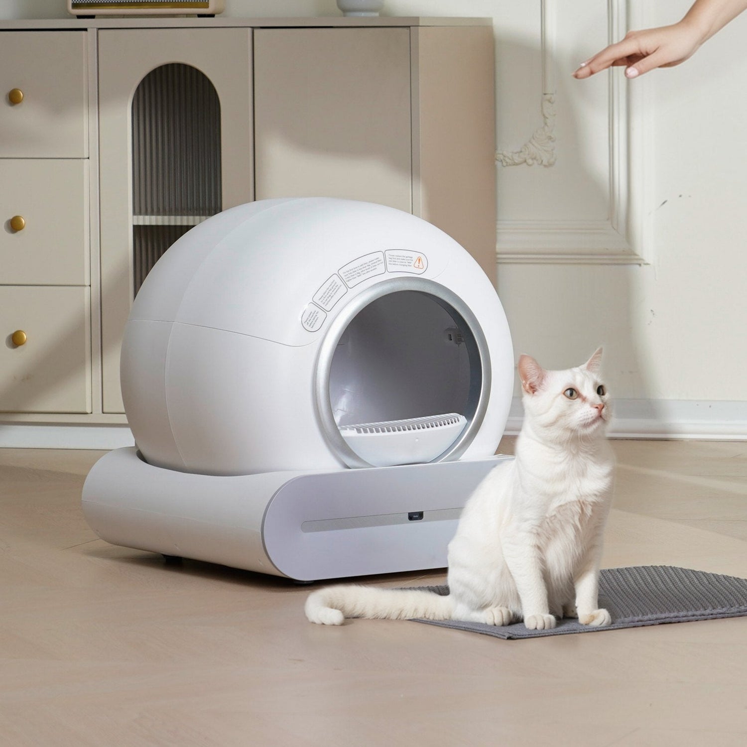 Cat Litter Box