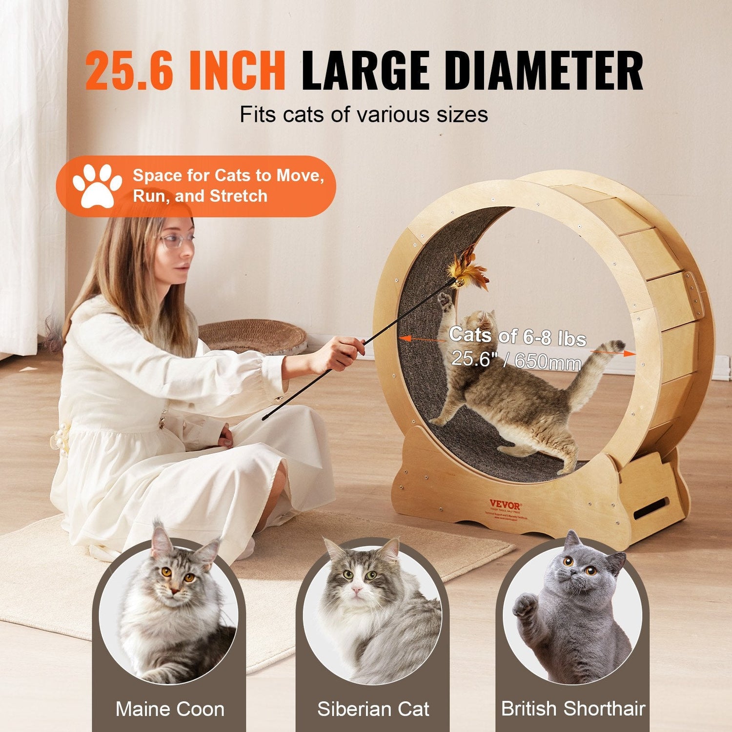 Small Animal Exercise Wheels